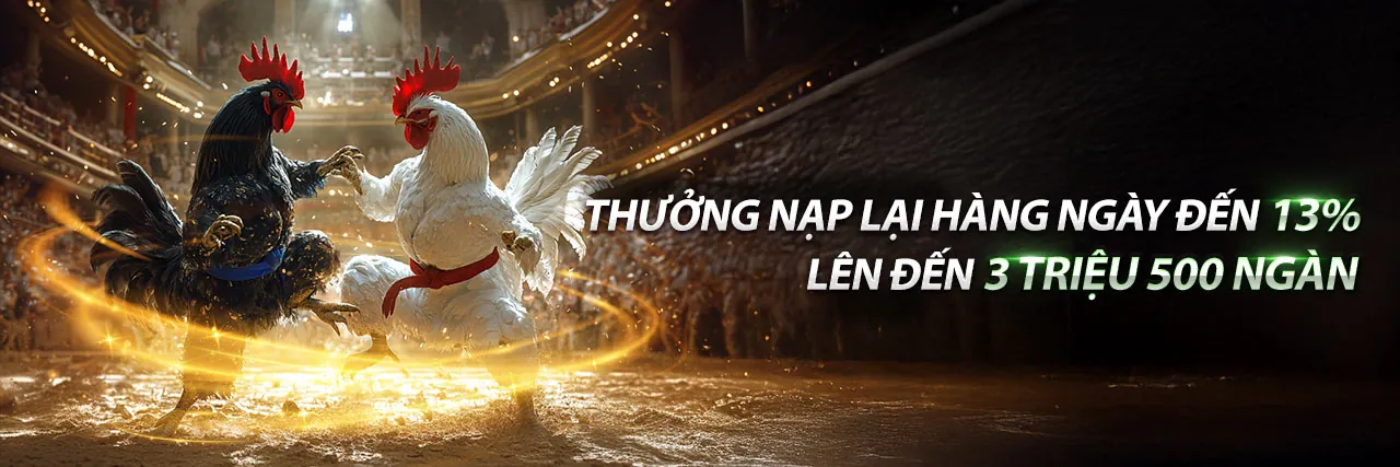 Chương trình VIP betking nổ hũ